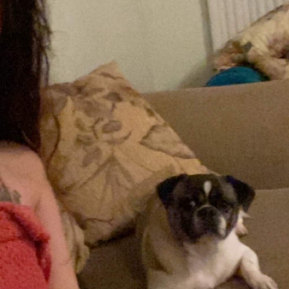 Meet your Posher, Maria